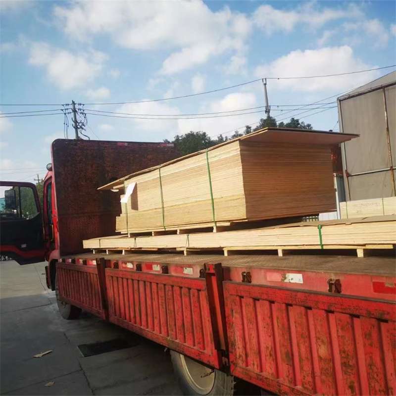 辽宁辽阳灯塔至塔城货运专线，一站式物流服务助您成功